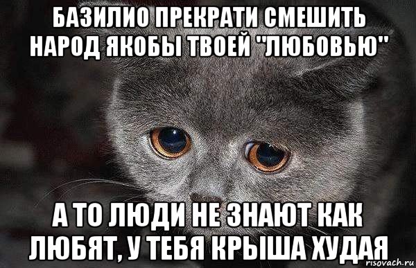 базилио прекрати смешить народ якобы твоей "любовью" а то люди не знают как любят, у тебя крыша худая, Мем  Грустный кот