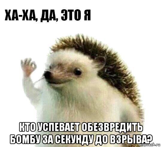  кто успевает обезвредить бомбу за секунду до взрыва?, Мем Ха-ха да это я