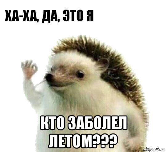  кто заболел летом???, Мем Ха-ха да это я