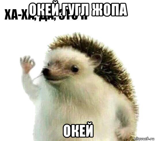 окей гугл жопа окей, Мем Ха-ха да это я