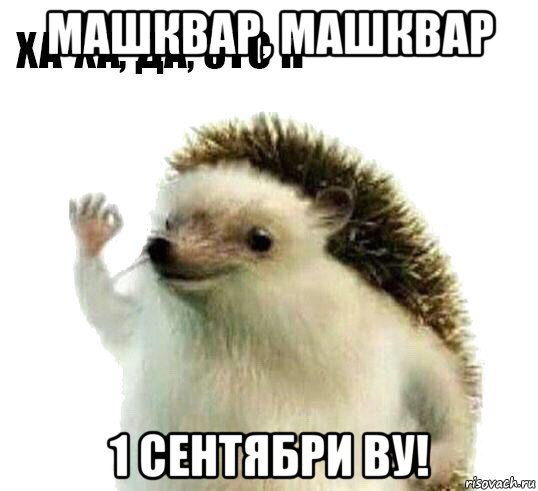 машквар, машквар 1 сентябри ву!, Мем Ха-ха да это я