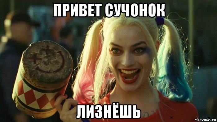 привет сучонок лизнёшь, Мем    Harley quinn