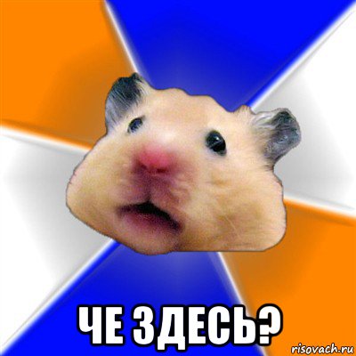  че здесь?, Мем Хомяк