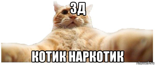 3д котик наркотик, Мем   Кэтсвилл