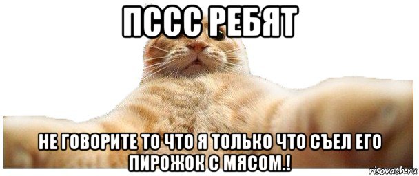 пссс ребят не говорите то что я только что съел его пирожок с мясом.!, Мем   Кэтсвилл