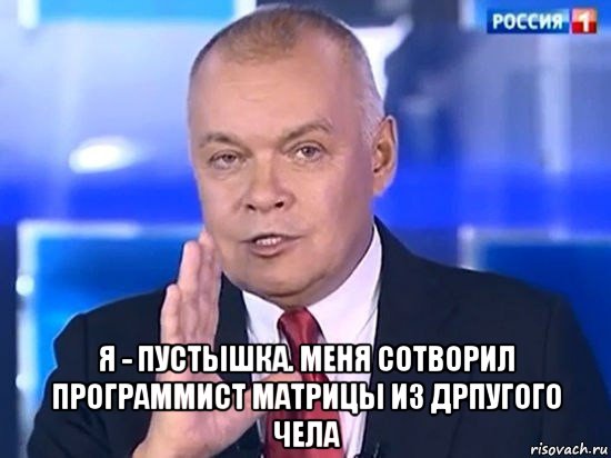  я - пустышка. меня сотворил программист матрицы из дрпугого чела, Мем Киселёв 2014