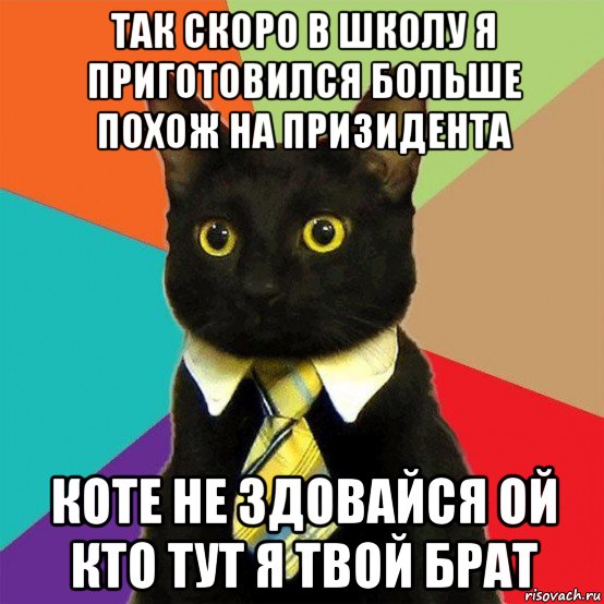 так скоро в школу я приготовился больше похож на призидента коте не здовайся ой кто тут я твой брат, Мем  Кошечка