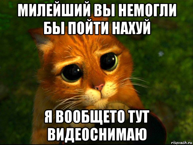 милейший вы немогли бы пойти нахуй я вообщето тут видеоснимаю, Мем кот из шрека