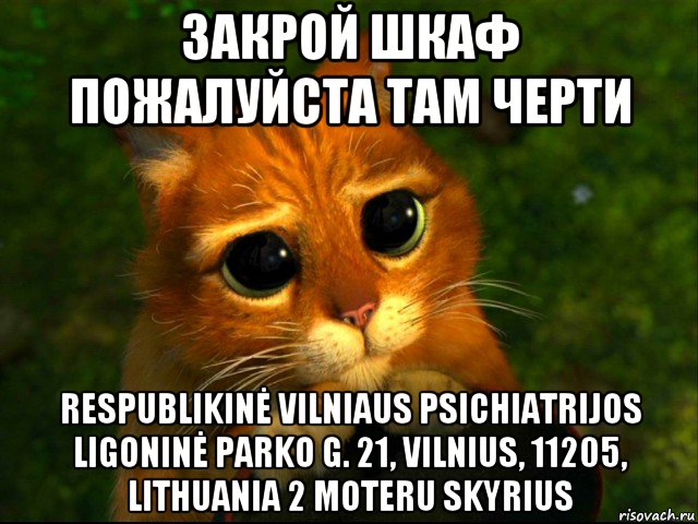 закрой шкаф пожалуйста там черти respublikinė vilniaus psichiatrijos ligoninė parko g. 21, vilnius, 11205, lithuania 2 moteru skyrius, Мем кот из шрека