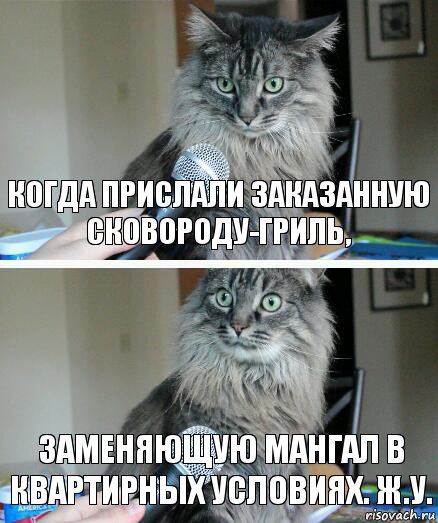 когда прислали заказанную сковороду-гриль, заменяющую мангал в квартирных условиях. ж.у., Комикс  кот с микрофоном