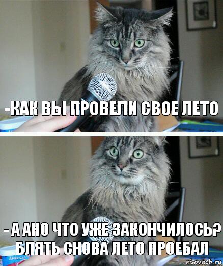 -как вы провели свое лето - а ано что уже закончилось?
блять снова лето проебал, Комикс  кот с микрофоном