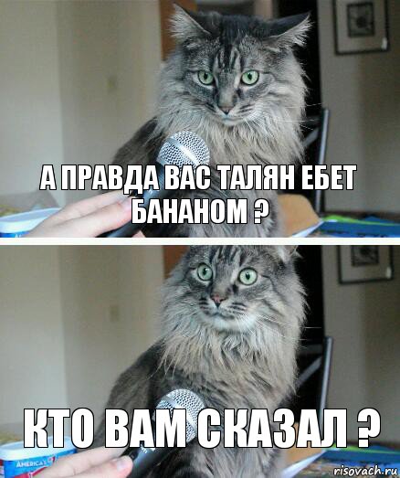 а правда вас Талян ебет бананом ? кто вам сказал ?, Комикс  кот с микрофоном
