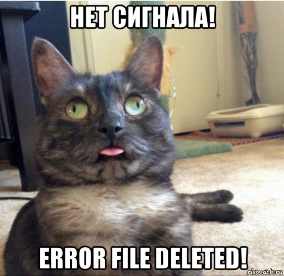 нет сигнала! error file deleted!, Мем   Кот завис