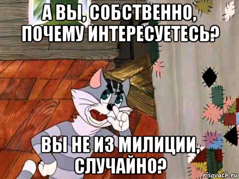 а вы, собственно, почему интересуетесь? вы не из милиции, случайно?, Мем Кот Матроскин возмущен