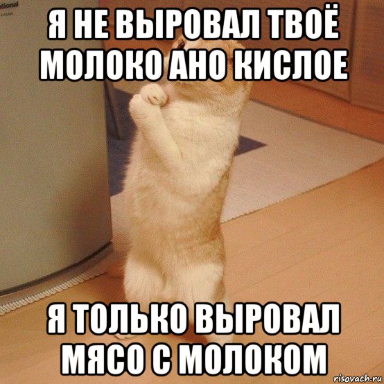 я не выровал твоё молоко ано кислое я только выровал мясо с молоком, Мем  котэ молится