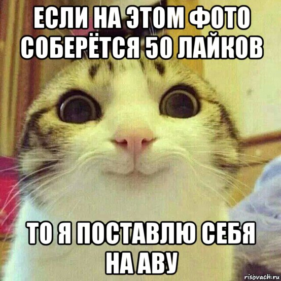 если на этом фото соберётся 50 лайков то я поставлю себя на аву, Мем       Котяка-улыбака