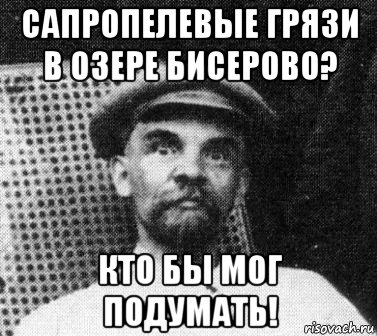 сапропелевые грязи в озере бисерово? кто бы мог подумать!, Мем   Ленин удивлен