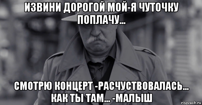 извини дорогой мой-я чуточку поплачу... смотрю концерт -расчуствовалась... как ты там... -малыш, Мем Леонид Аркадьевич