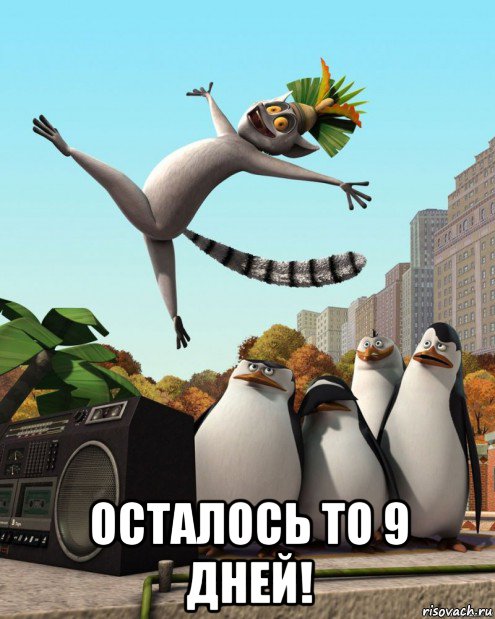  осталось то 9 дней!, Мем  мадагаскар