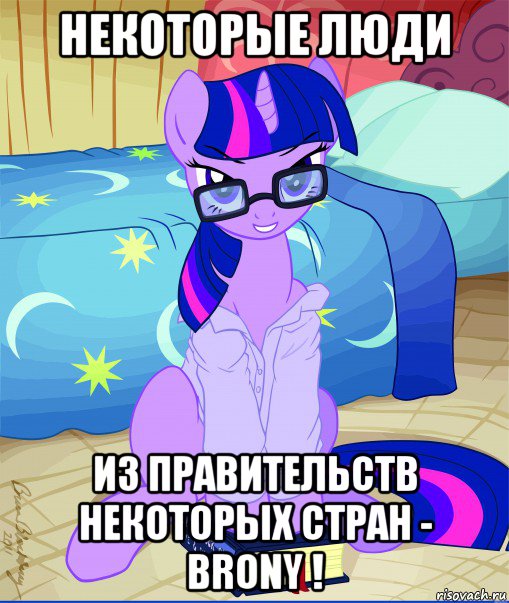 некоторые люди из правительств некоторых стран - brony !, Мем  май литл пони