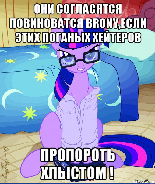 они согласятся повиноватся brony,если этих поганых хейтеров пропороть хлыстом !, Мем  май литл пони