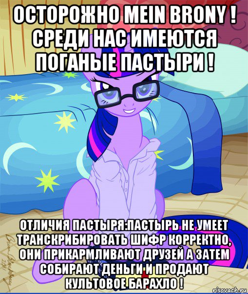 осторожно mein brony ! среди нас имеются поганые пастыри ! отличия пастыря:пастырь не умеет транскрибировать шифр корректно, они прикармливают друзей а затем собирают деньги и продают культовое барахло !, Мем  май литл пони