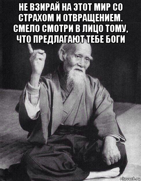 не взирай на этот мир со страхом и отвращением. смело смотри в лицо тому, что предлагают тебе боги , Мем Монах-мудрец (сэнсей)