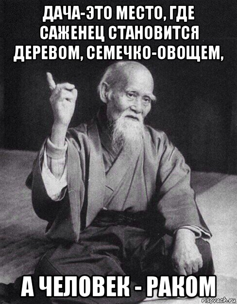 дача-это место, где саженец становится деревом, семечко-овощем, а человек - раком, Мем Монах-мудрец (сэнсей)