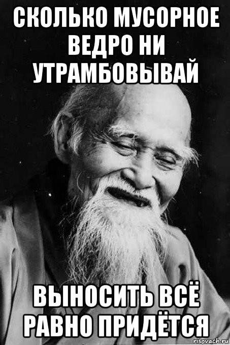 сколько мусорное ведро ни утрамбовывай выносить всё равно придётся, Мем мудрец улыбается