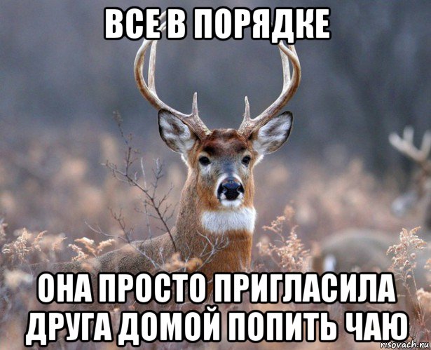 все в порядке она просто пригласила друга домой попить чаю, Мем   Наивный олень