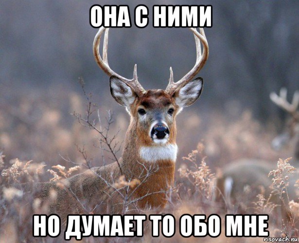 она с ними но думает то обо мне, Мем   Наивный олень