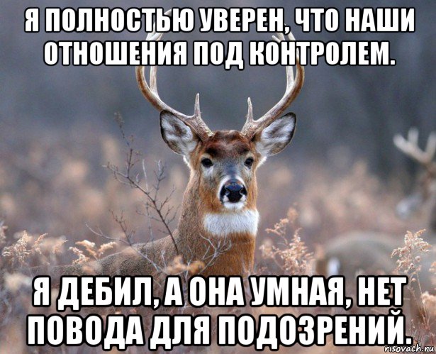 я полностью уверен, что наши отношения под контролем. я дебил, а она умная, нет повода для подозрений., Мем   Наивный олень