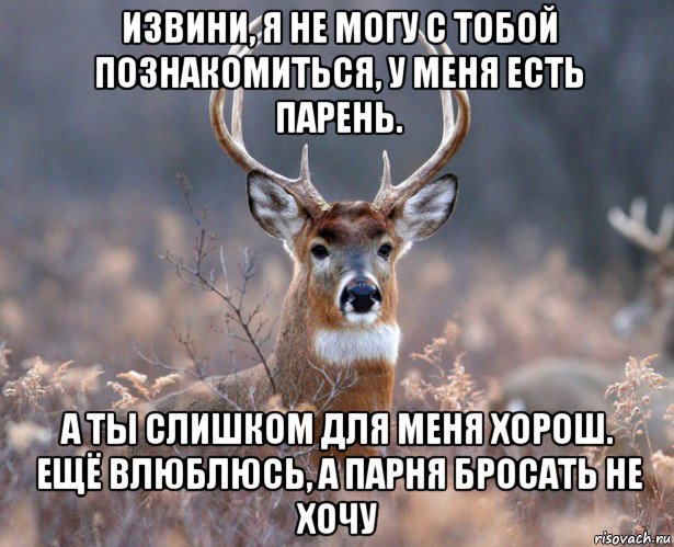 извини, я не могу с тобой познакомиться, у меня есть парень. а ты слишком для меня хорош. ещё влюблюсь, а парня бросать не хочу, Мем   Наивный олень