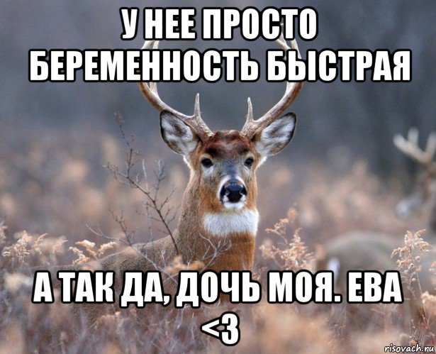 у нее просто беременность быстрая а так да, дочь моя. ева <3, Мем   Наивный олень