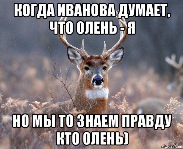 когда иванова думает, что олень - я но мы то знаем правду кто олень), Мем   Наивный олень