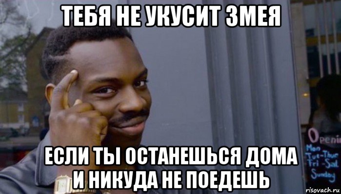 тебя не укусит змея если ты останешься дома и никуда не поедешь, Мем Не делай не будет