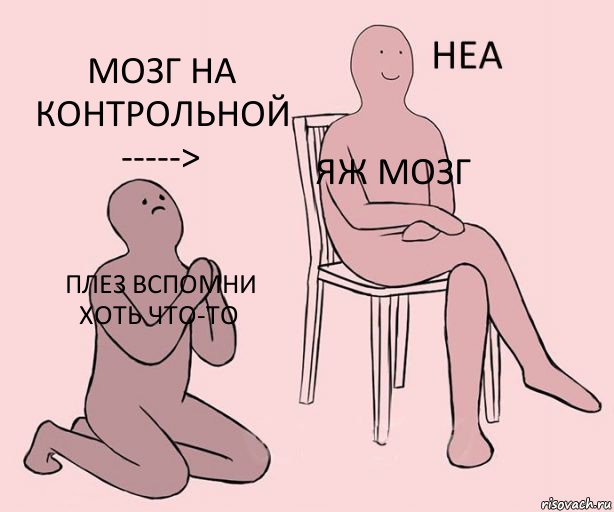 ПЛЕЗ ВСПОМНИ ХОТЬ ЧТО-то ЯЖ мозг Мозг на контрольной ----->, Комикс Неа