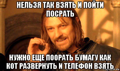 нельзя так взять и пойти посрать нужно еще поорать бумагу как кот развернуть и телефон взять, Мем Нельзя просто так взять и (Боромир мем)