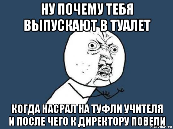 ну почему тебя выпускают в туалет когда насрал на туфли учителя и после чего к директору повели, Мем Ну почему