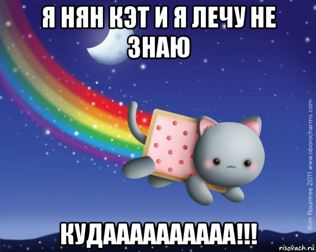 я нян кэт и я лечу не знаю кудаааааааааа!!!