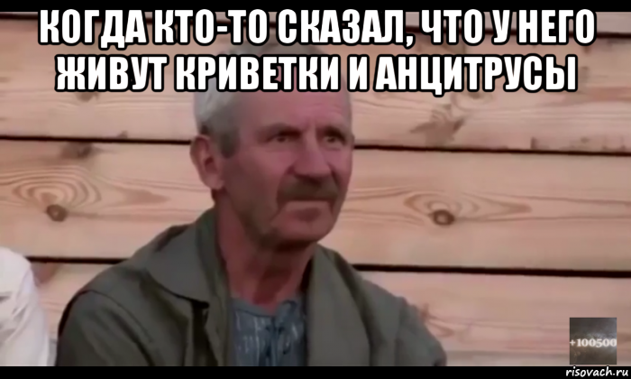 когда кто-то сказал, что у него живут криветки и анцитрусы , Мем  Охуевающий дед