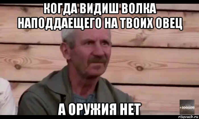 когда видиш волка наподдаещего на твоих овец а оружия нет, Мем  Охуевающий дед