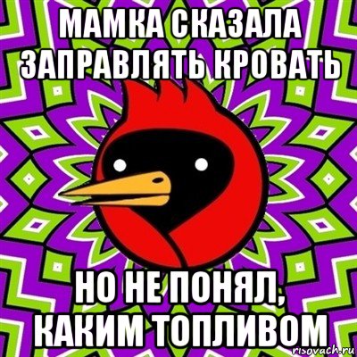 мамка сказала заправлять кровать но не понял, каким топливом, Мем Омская птица