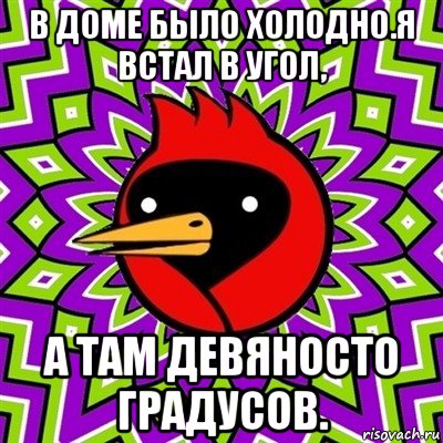 в доме было холодно.я встал в угол, а там девяносто градусов., Мем Омская птица