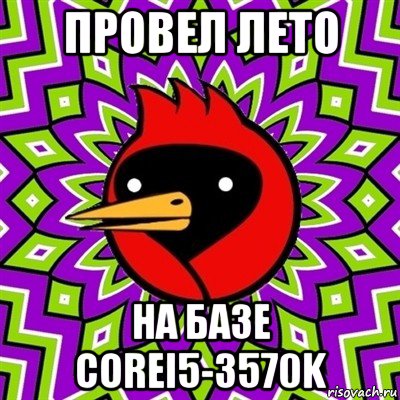 провел лето на базе corei5-3570k, Мем Омская птица