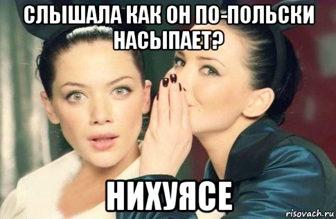 слышала как он по-польски насыпает? нихуясе, Мем  Он