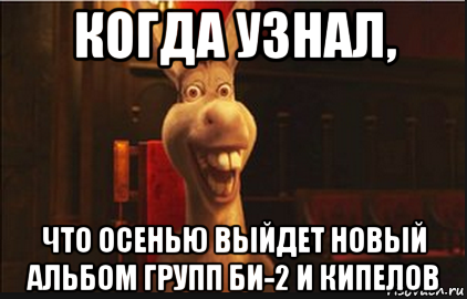 когда узнал, что осенью выйдет новый альбом групп би-2 и кипелов, Мем Осел из Шрека