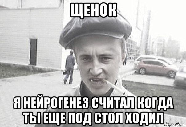 щенок я нейрогенез считал когда ты еще под стол ходил, Мем Пацанська философия