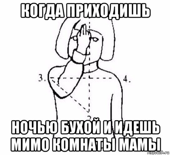 когда приходишь ночью бухой и идешь мимо комнаты мамы, Мем  Перекреститься