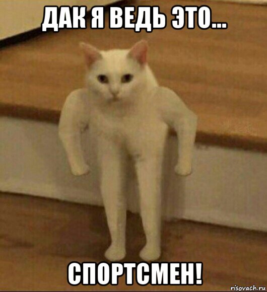 дак я ведь это... спортсмен!, Мем  Полукот